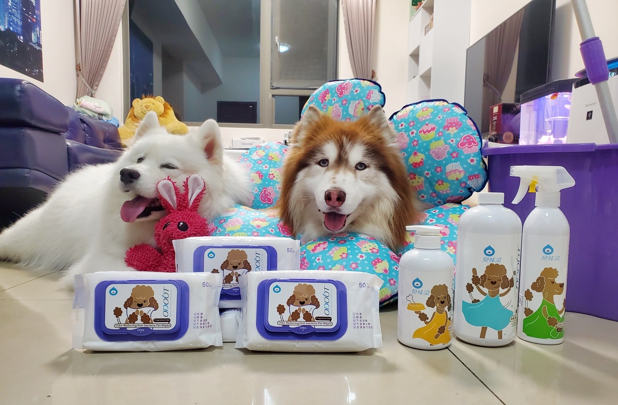 雪橇犬麥可噗優