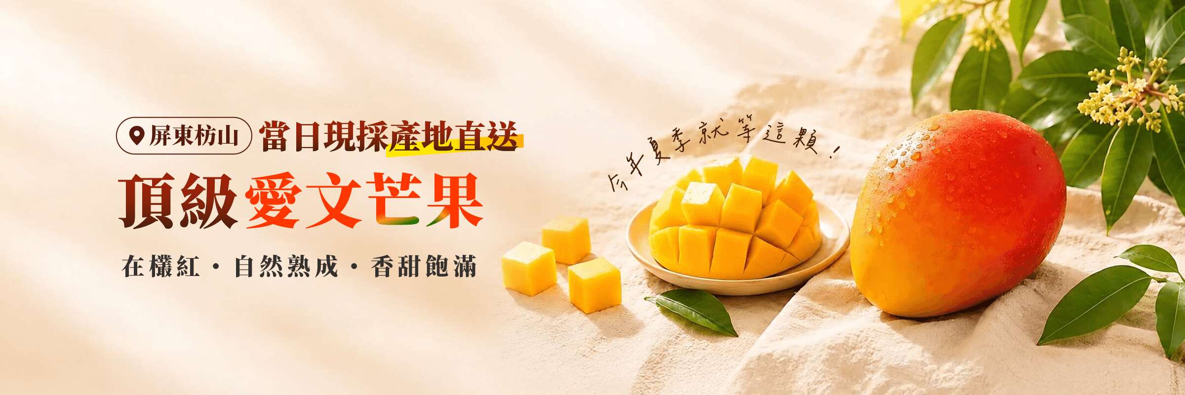 nita x【美賣嚴選】屏東頂級愛文芒果 🥭 當日現採直送-banner