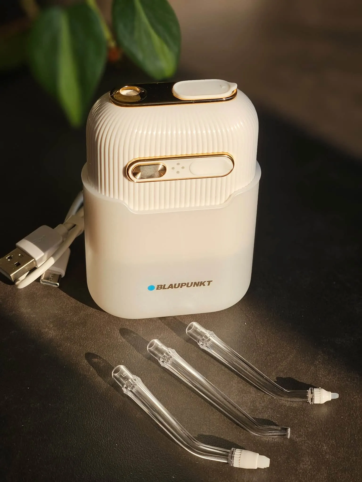 妞媽分享愛 x【BLAUPUNKT】迷你口袋沖牙機